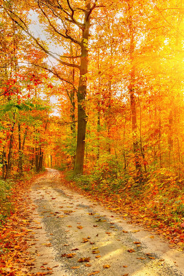 有哪些数学理论最初被认为「毫无用处」，却在某个领域意外成为关键技术支柱？